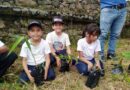 Jornada de reforestación fortalece protección ambiental en Zea