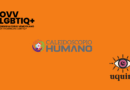 Pronunciamiento público: Organizaciones feminista y LGBTIQ+ siempre estarán acompañando a las víctimas
