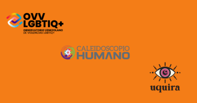 Pronunciamiento públicso: Organizaciones feminista y LGBTIQ+ siempre estarán acompañando a las víctimas