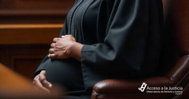 TSJ avala despido de juezas protegidas por maternidad y salud