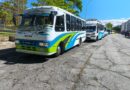Alcalde Nelson Álvarez ordenó operativo de revisión de Transporte Público
