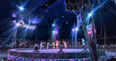 Con el apoyo de la Alcaldía, el Gran Circo de Los Valentinos llegó a Mérida