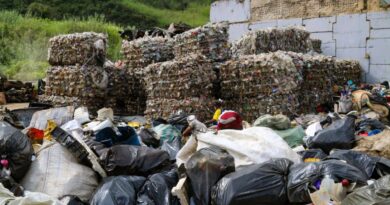 Comités para el Manejo de la Basura avanzan hacia una economía circular sostenible en Venezuela 