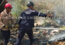 Comisión del Cuerpo de Bomberos sofocaron  incendio de vegetación en Ejido