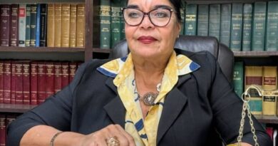 “Los jueces no pueden ser fichas ejecutoras del aparato represivo del gobierno”, alertan los abogados Marcelo Díaz Bracho y Coromoto Ramos