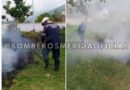 Bomberos sofocaron incendio de vegetación en Tovar