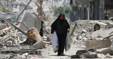 El Papa: en la locura de la guerra es importante defender la vida en todas sus etapas