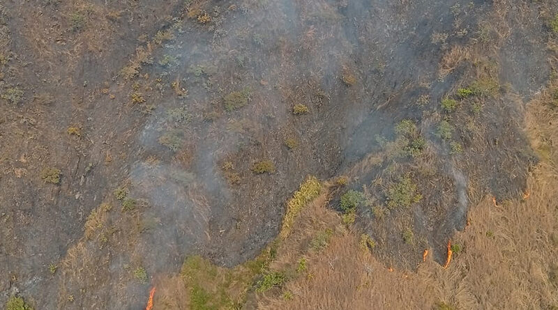 Sistema de Gestión de Riesgo contiene incendios en los parques nacionales Henri Pittier y Macarao